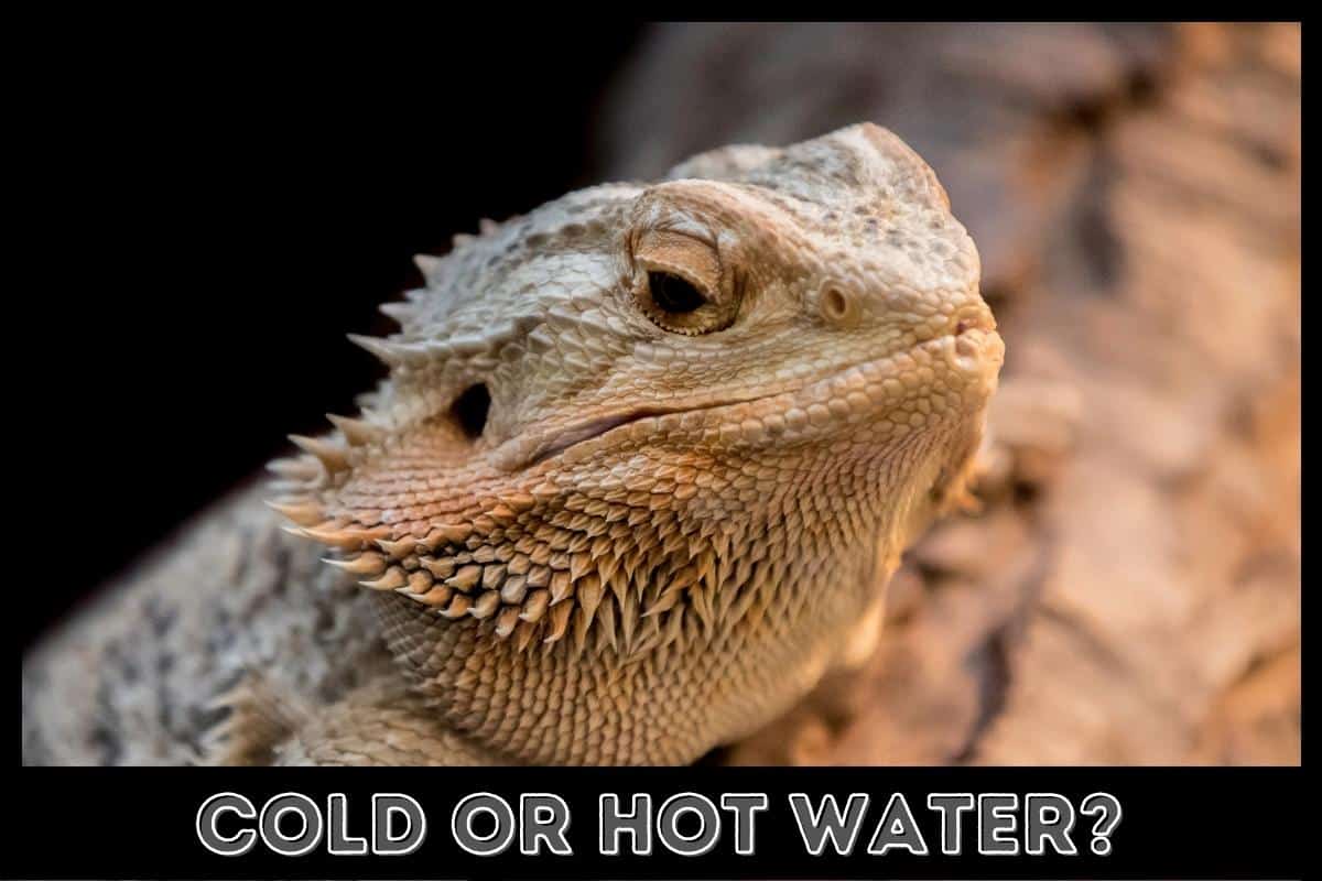 cold or hot water