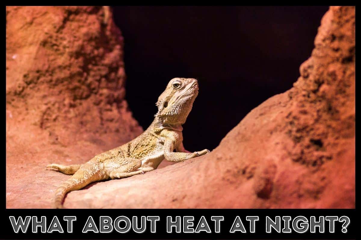 what about heat at night