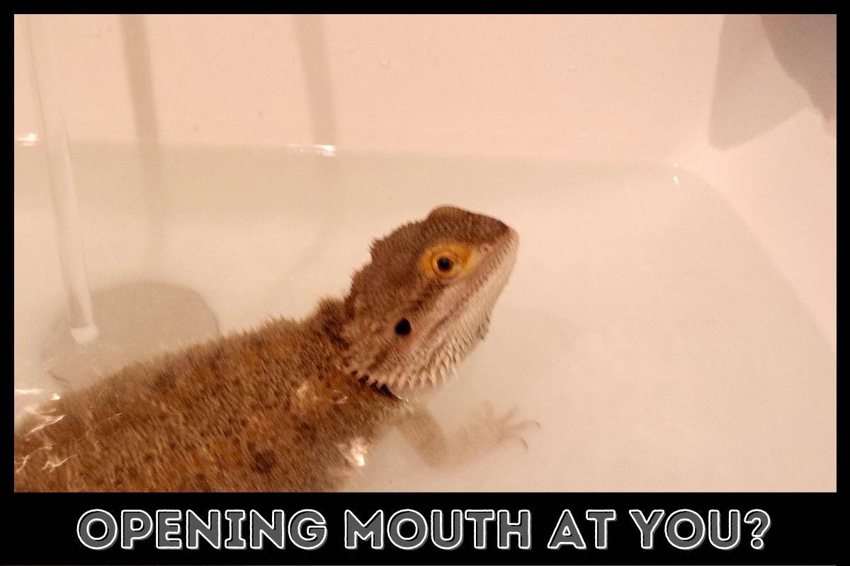 opening mouth at you